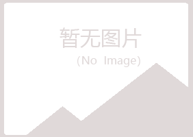 岐山县惜霜会计有限公司